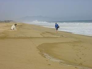 DSC02493 Randy walking on the beach best.jpg